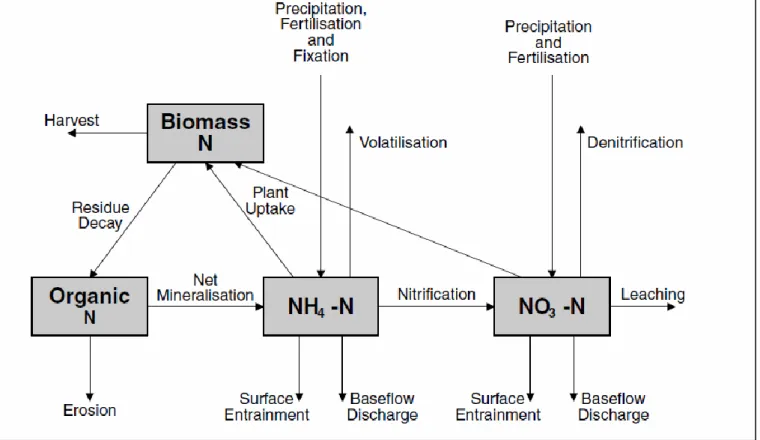 Figure 3.3   Structure  of  the  nitrogen  cycle  including  particulate  nitrogen  transport  processes (Viney et al., 2000)