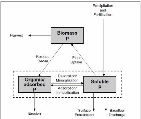 Figure 3.4  Structure of the phosphorus cycle including particulate phosphorus transport  processes (Viney et al., 2000) 