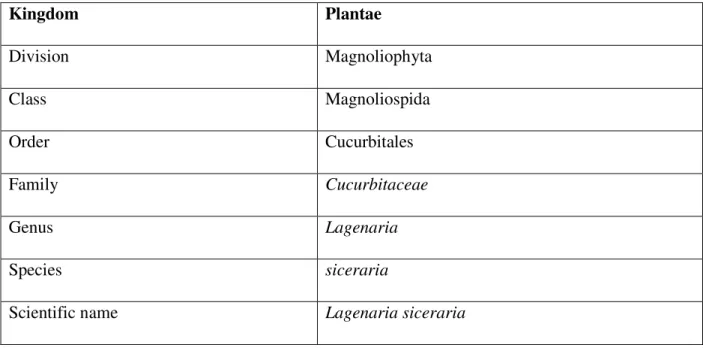 Table 2.1: Botanical classification of bottle gourd based on Milind and Satbir (2011)