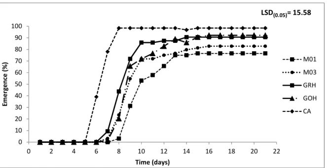 Table  4.3:  Seedling  emergence  of  landraces  (M01,  M02  &amp;  M03)  and  hybrids  GRH, GOH and CA) and parameters associated with growth