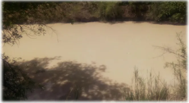 Figure 5.2: A pool in Muzvezve River (Photo by author) 