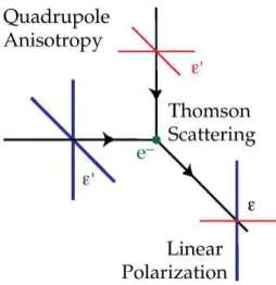 Figure 1.3: Polarisation by Thomson scattering of radiation. Blue colours (thick lines) represent hot and red colours (thin lines) cold radiation
