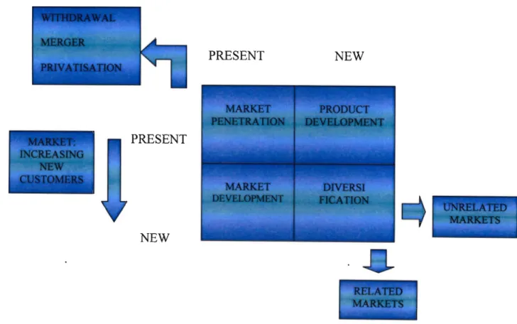 Figure 2.3: Ansoff Matrix
