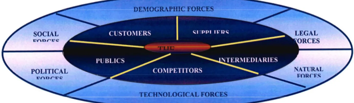Figure 2.5: The Marketing Environment