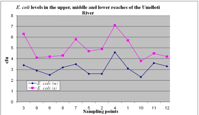 Graph 4.2.4: Total E. coli values for each of the two seasons