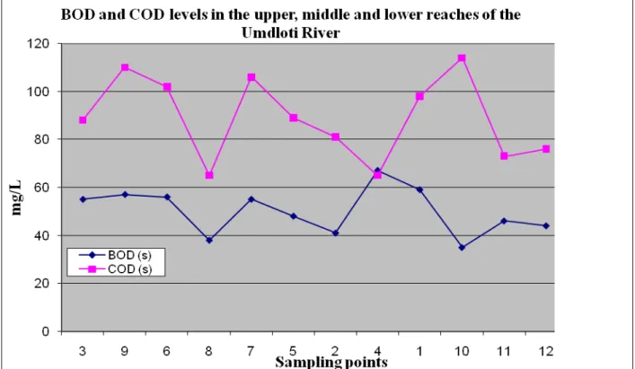 Graph 4.2.7: BOD and COD values for summer