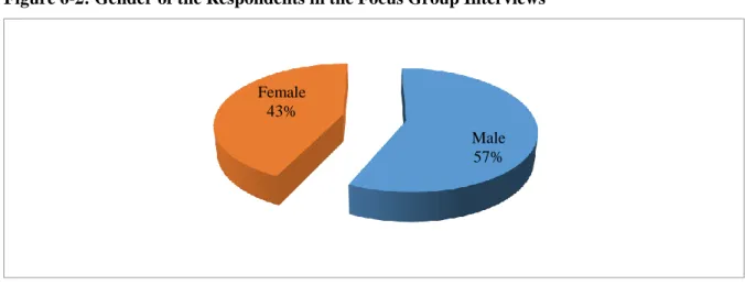 Figure 6-2: Gender of the Respondents in the Focus Group Interviews  