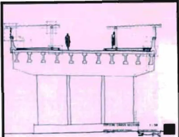 Fig:  57:  Typical section through the  bridge. 