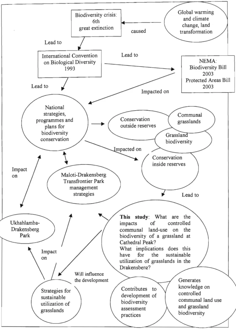 Figure  1. 1: Key  concepts and  processes in the assessment of grassland  biodiversity 