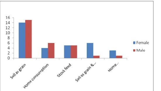 Figure 3.4: Land utilization by male and female farmers during 2007-2010 