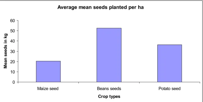 Figure 3.7: Quantities of seeds require in planting a hectare of green maize, beans and  potatoes mentioned by farmers