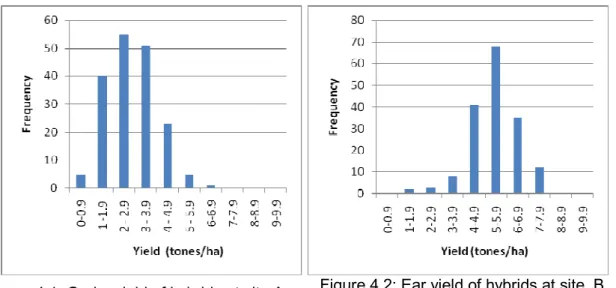 Figure 4.1: Grain  yield of hybrids at site A                 Figure 4.2: Ear yield of hybrids at site  B 
