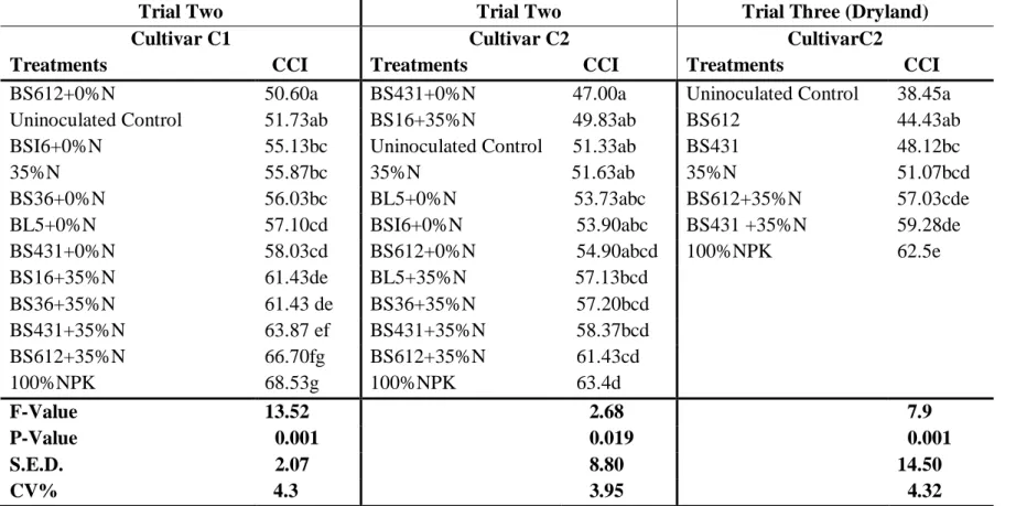 Table 4.2: Effect of seed inoculation on chlorophyll level (CCI) of two maize Cultivars under field conditions 