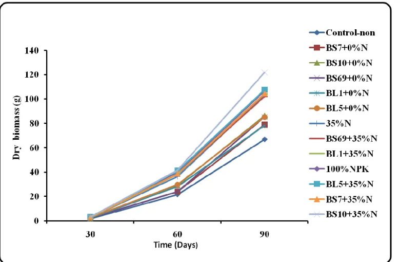 Figure 5.1: Effect of seed inoculation on shoot dry biomass of wheat (T1C1) under field conditions