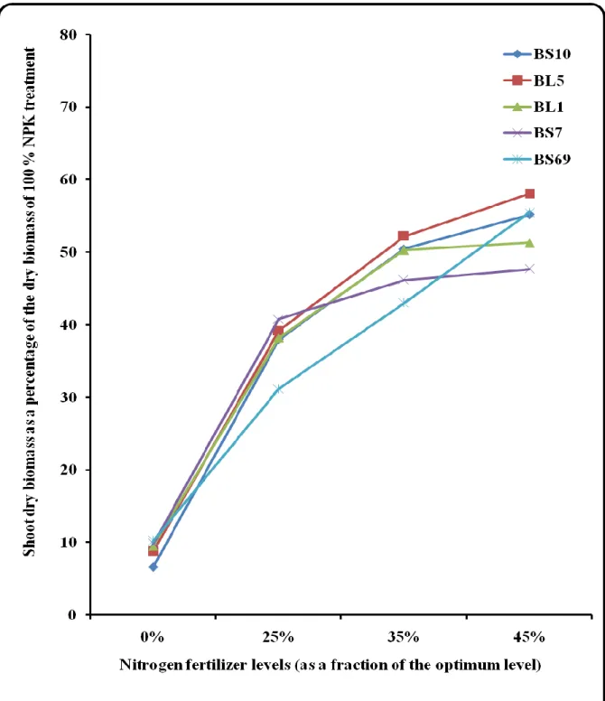 Figure 3.2: Effect of bacterial inoculation at different N fertilizer levels on shoot dry biomass of  wheat under greenhouse conditions 