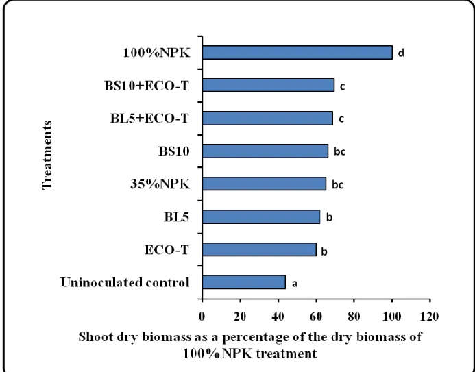 Figure  3.4  Effects  of  single  and  dual  inoculation  of  Eco-T ®  (Trichoderma  harzianum)  a  commercial BCA and Bacillus isolates (Isolate BL5, (B