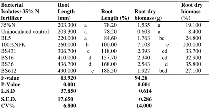 Table 3.2 Effects of bacterial inoculation on root growth under greenhouse conditions  Bacterial 