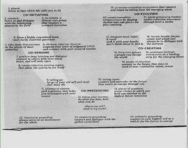 Figure 2.1: The Twenty Four Principles of Theory U  