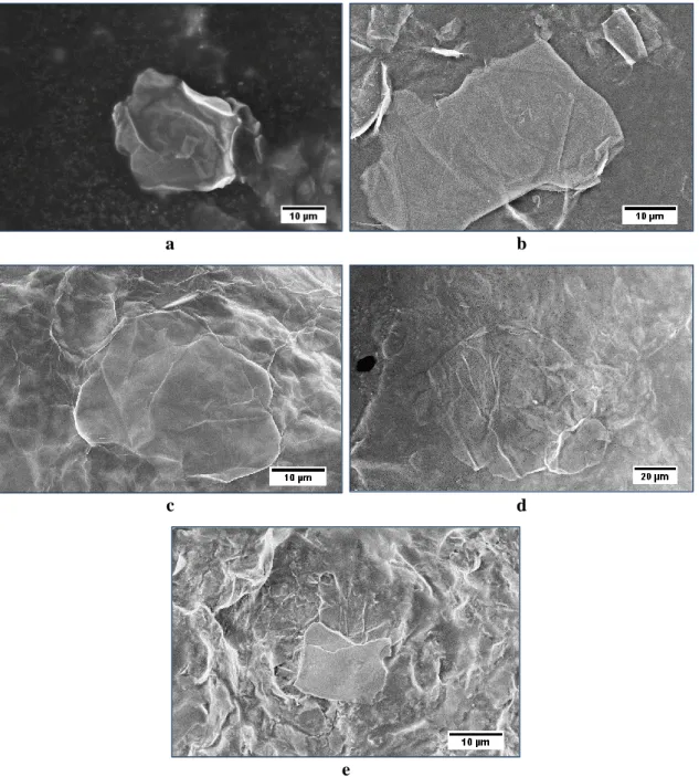 Figure  7-2  SEM  images  of  the  GO  flakes  produced  from  each  of  the  five  experiments