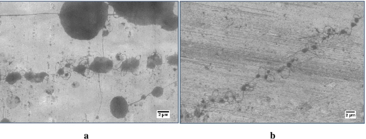 Figure 7-21 SEM images of PVA fibres produced from the electrospinning of 6 % (wt. /vol.) PVA solution at 3 cm (a)  and 15 cm (b)