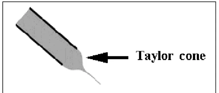 Figure 4-1 Taylor cone formation at the end of the spinneret [170]. 