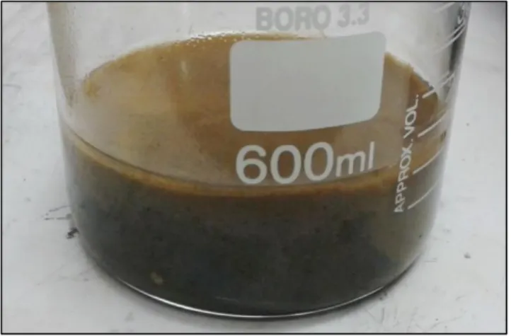 Figure 5-1 GO produced via the Hummers