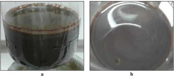 Figure 5-3 GO produced via the modified Hummers’ method with extended oxidation time prior to washing