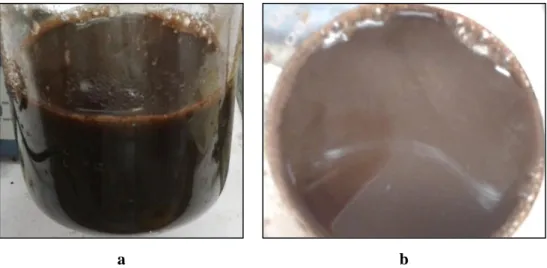 Figure 5-5 GO produced via the modified Hummers’ method with additional KMnO 4  prior to washing