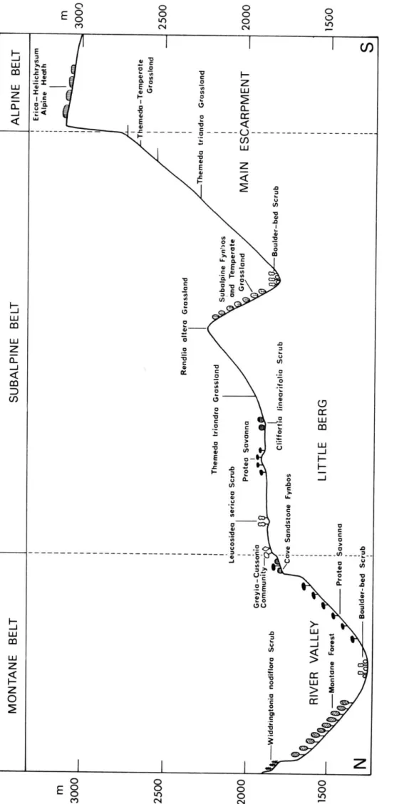 Figure 2.4:  Cross-sectional profile through the KwaZulu-Natal Drakensberg showing the three altitudinal belts and their associated vegetation communities (from Killick, 1978)