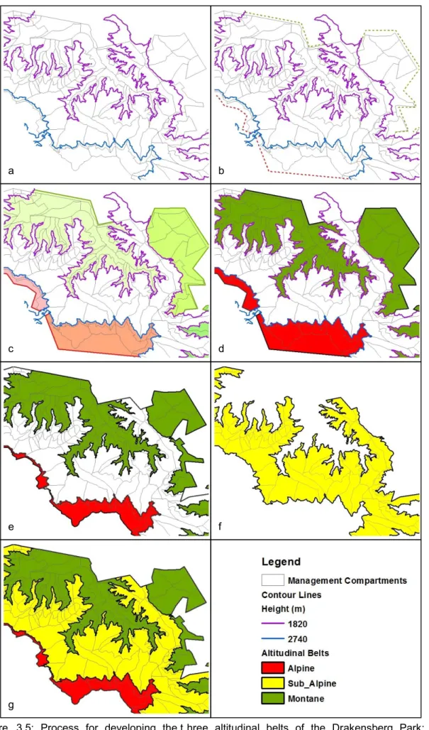 Figure  3.5:  Process  for  developing  the t hree  altitudinal  belts  of  the  Drakensberg  Park;  a)  management compartment with contour lines, b) closed polylines, c) several different polygons, d)  different polygons merged to create individual belts