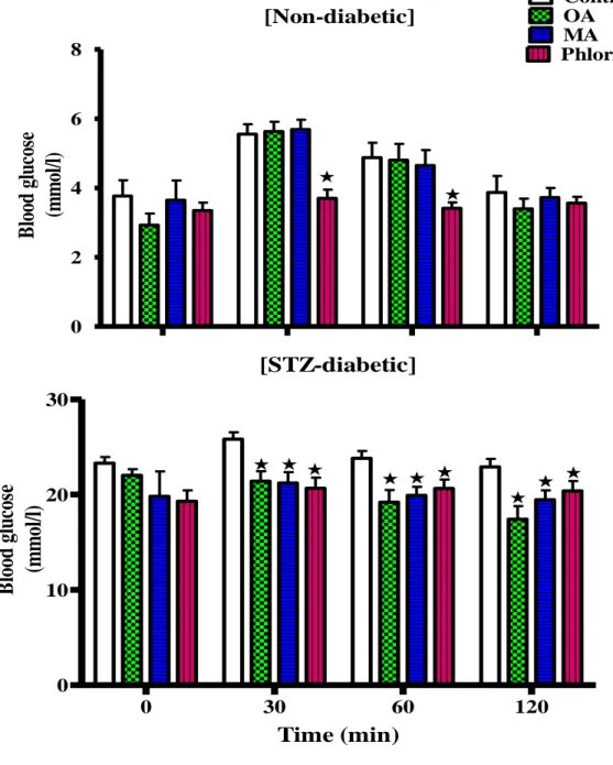 Figure 14. Comparison of OGT responses to OA and MA in non-diabetic and STZ-diabetic rats  with  control  non-diabetic,  untreated  STZ-diabetic  and  those  treated  with  the  standard  drug  phlorizin  following  a  glucose  load