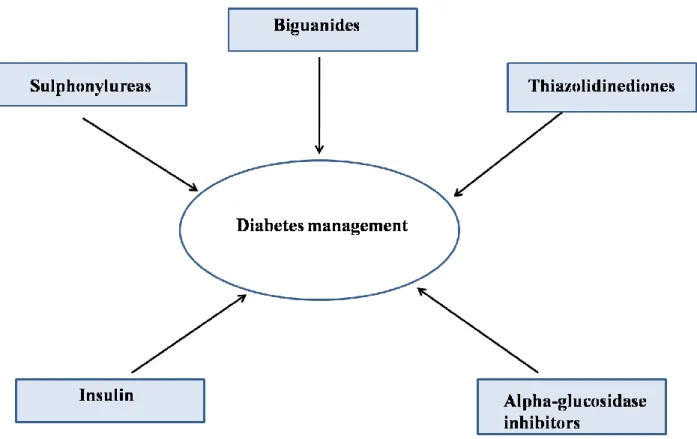 Figure 2: The various classes of compounds used in the management of diabetes mellitus