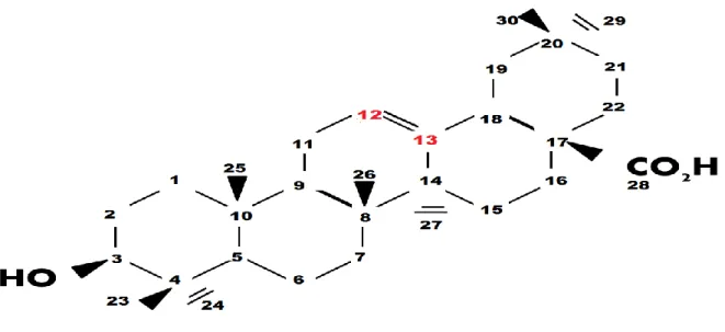 Figure  7.  Chemical  structure  and  IUPAC  numbering  of  OA  as  determined  through  1 H  and  13 C  NMR spectroscopy 