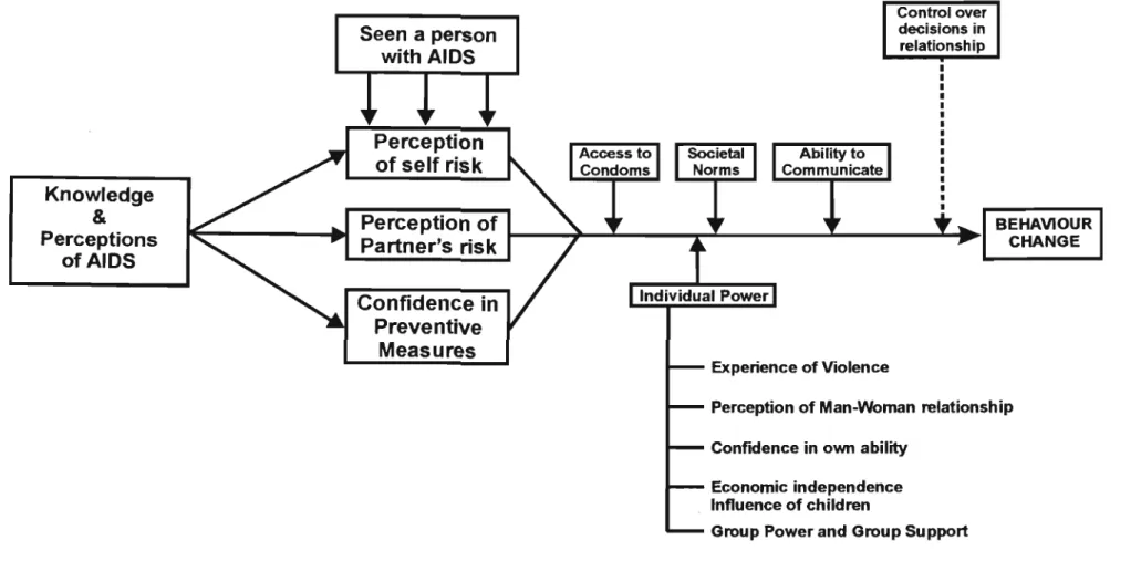 Figure 1: Conceptual framework for understanding women's vulnerability to HIV infection 