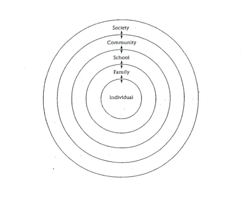 Fig 2.1: Interacting levels of organization within the social context. (Donald, et al., 1997: 35)