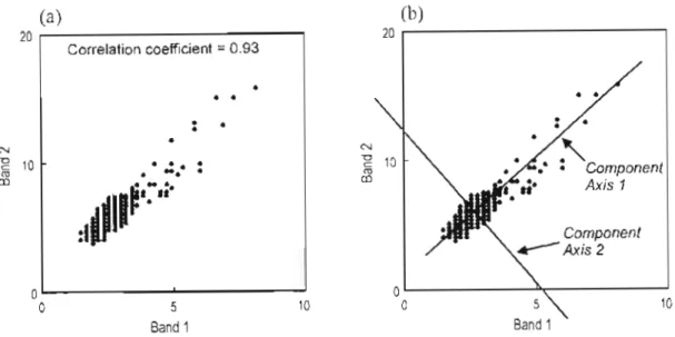 Figure 3.1: Landsat Thematic Mapper data showing (a) the high correlation between  bands 1 and 2, and (b) the first two principal components for the same dataset