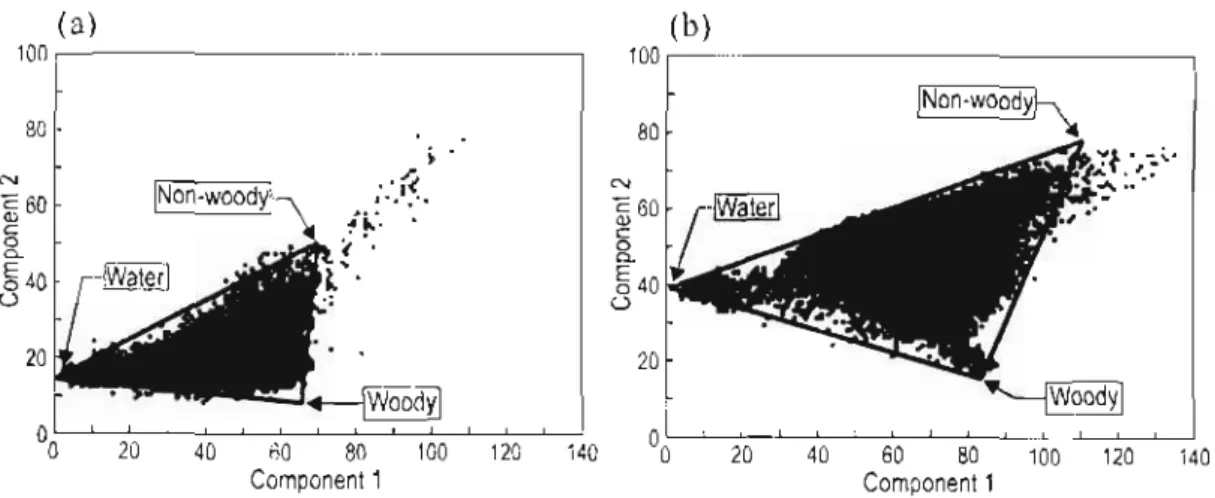 Figure 5.6: Scattergrams showing the distribution of pixels of the first two  principal components for (a) 7 May 2001 and (b) 17 October 2002