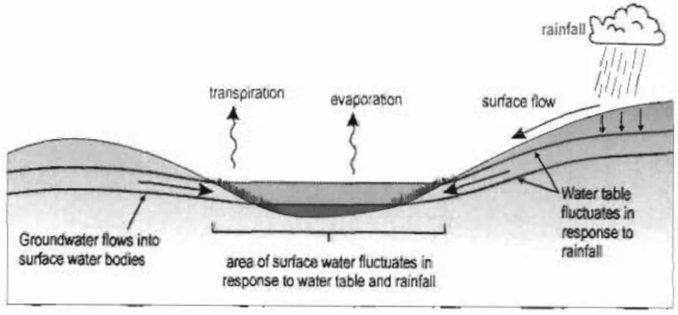 Figure 5.7: Conceptual model showing factors controlling surface water on the  Eastern Shores