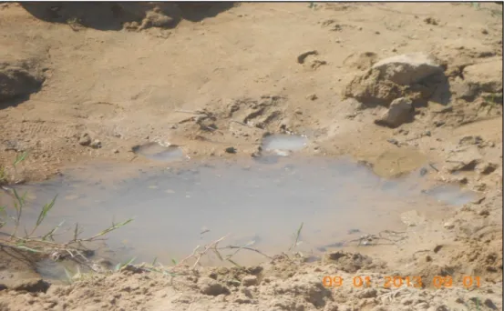 Figure 27: Unprotected spring for human consumption livestock too rush for this water