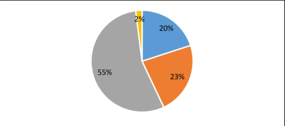 Figure 11 : Educational level 
