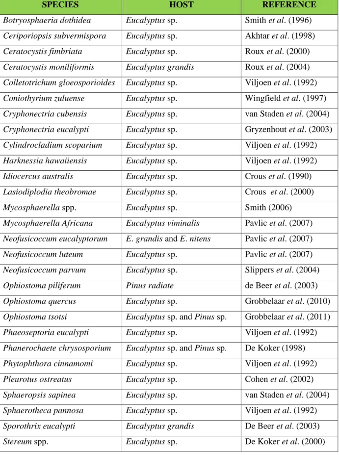 Table 4: Fungi that colonize Eucalyptus and Pinus trees 