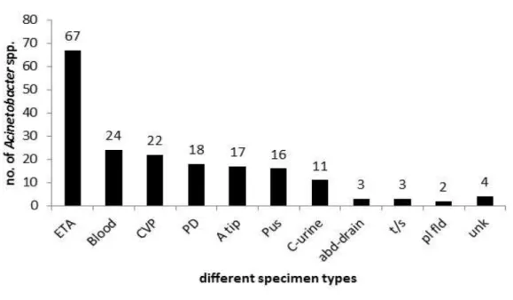 Figure 1.  The number of Acinetobacter species isolated from different specimen types in  308 