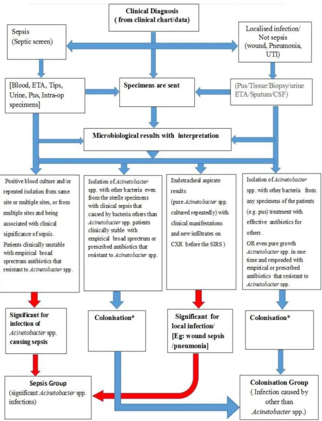 Figure 1.  Flow chart of clinical and microbiological criteria of sepsis and   130 