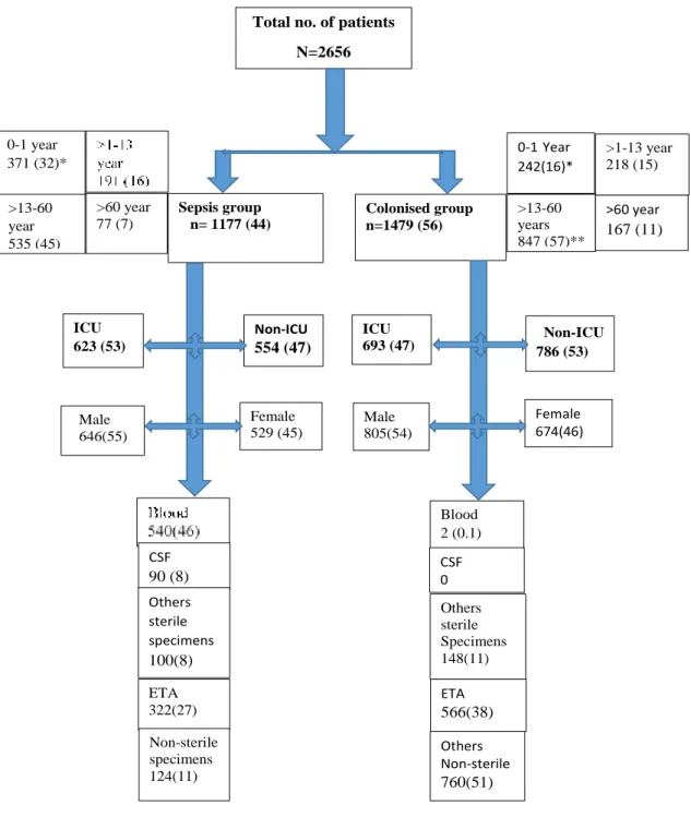 Figure 4.   Flow chart.  Demographic data of patients cultured with   272 