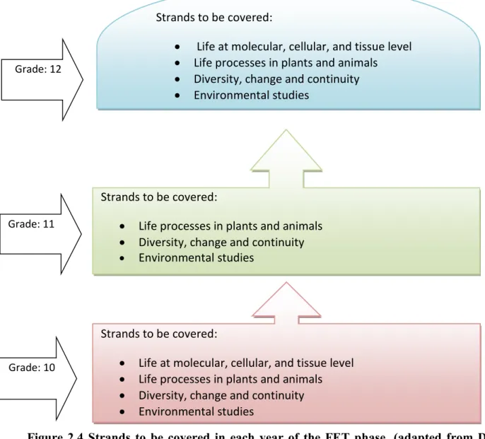 Figure 2.4 Strands to be covered in each year of the FET phase. (adapted from DoE,  2011, p