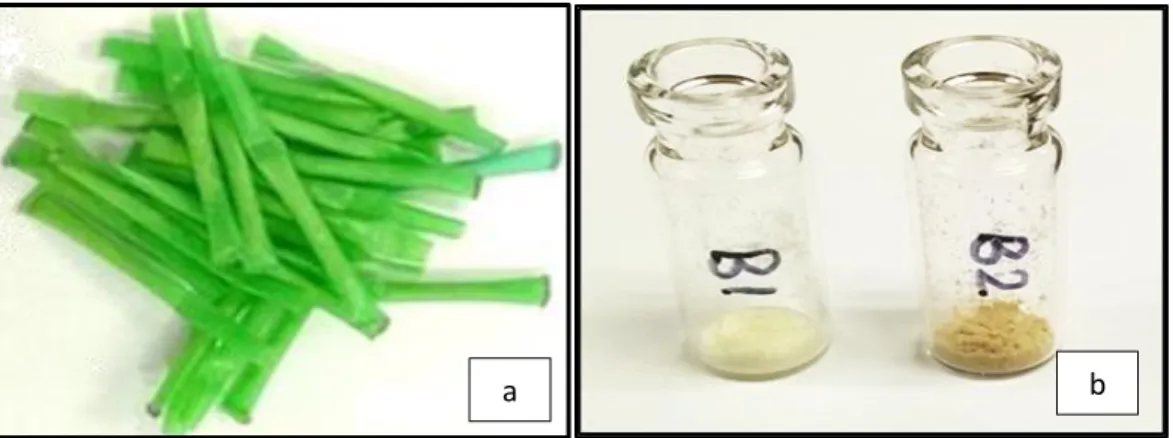 Figure 1. (a) The outer appearance of the “Sugars” straws. (b) The colour variation observed between the  contents of the straws