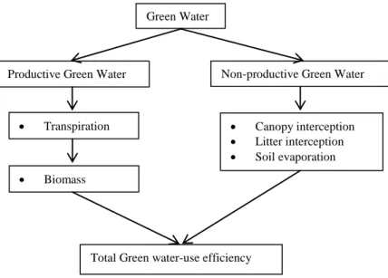 Figure 5.1   Schematic  showing  the  components  of  productive  and  non-productive  green  water  used to calculate total green water-use efficiency