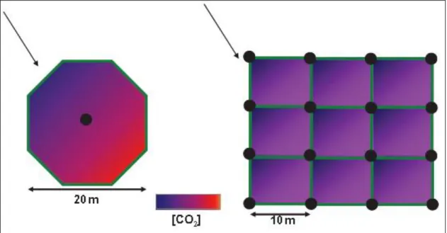 Figure 7.1   A typical distribution of CO 2  across a free air CO 2  enrichment (FACE) octagonal plot  or a hypothetical gridded FACE system