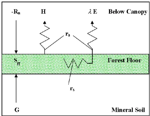 Figure 1.10  Schematic  diagram  of  the  forest  floor  energy  balance  (After:  Schaap  and  Bouten,  1997)