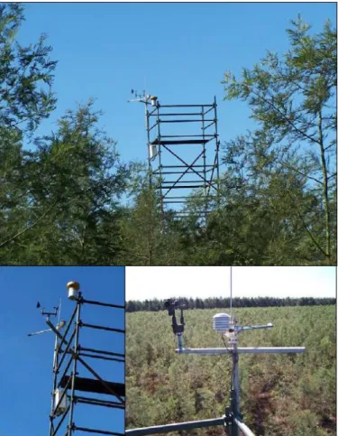 Figure 2.2  Automatic  weather  station  above  Acacia  mearnsii  and  Eucalyptus  grandis  canopies  (Clulow, 2007)